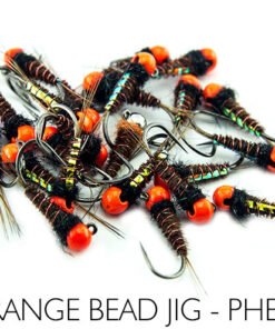 Nimfa oranžinė su fazanu