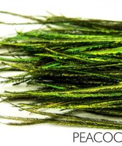 Polish Quills povo plunksna