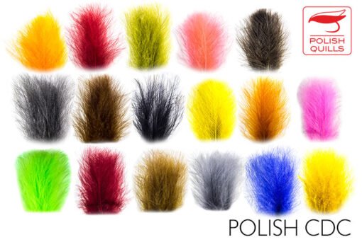 CDC Plunksnos spalvotos Polish Quills