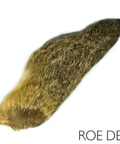 Elnio ausis musių rišimui