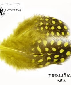 perlinės vištos plunksnos