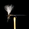 quill mayfly