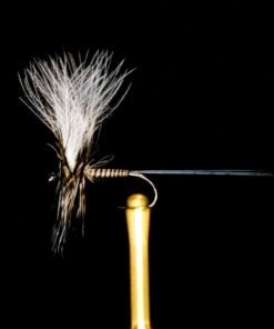 quill mayfly