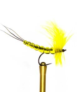 yellow mayfly