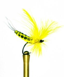 Yellow mayfly