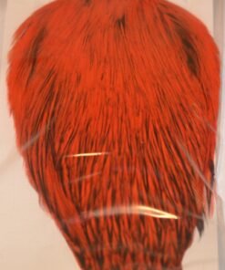 whiting american hackle