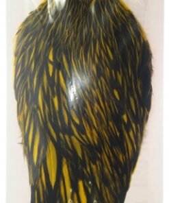 whiting american hackle