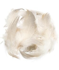 mallard flank feathers