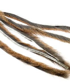 pine squirrel zonker