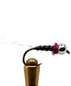 Black and purple nymph
