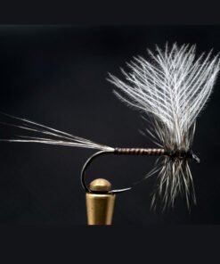 Quill Mayfly
