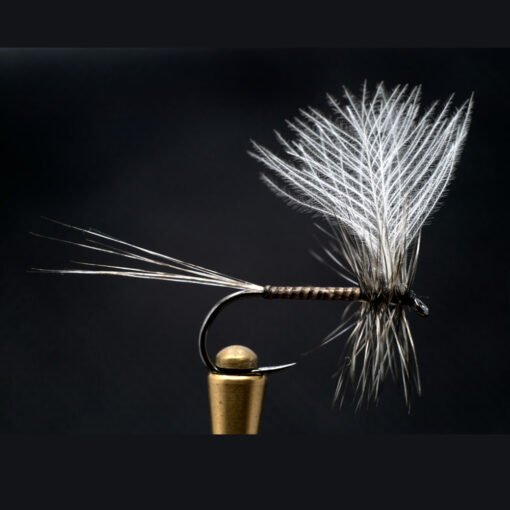 Quill Mayfly