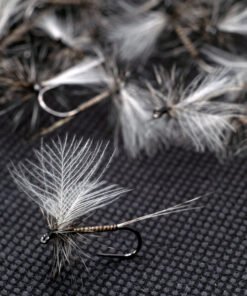 Quill Mayfly